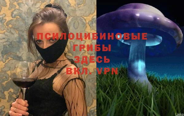 ALPHA PVP Верхний Тагил