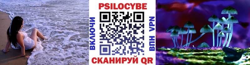 KRAKEN ссылка Пыталово Псилоцибиновые грибы Cubensis